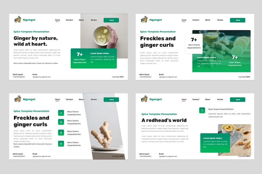 香料食品产品推介宣传营销展示方案PPT模板 - PPT派