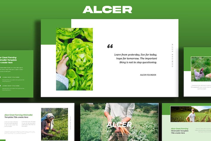 ALCER-场-PowerPoint- PPT派