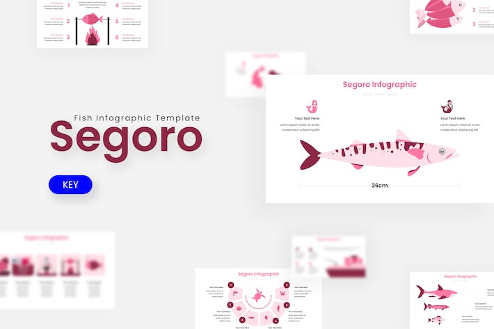 数据分析分部展示信息图形Keynote模板 - PPT派