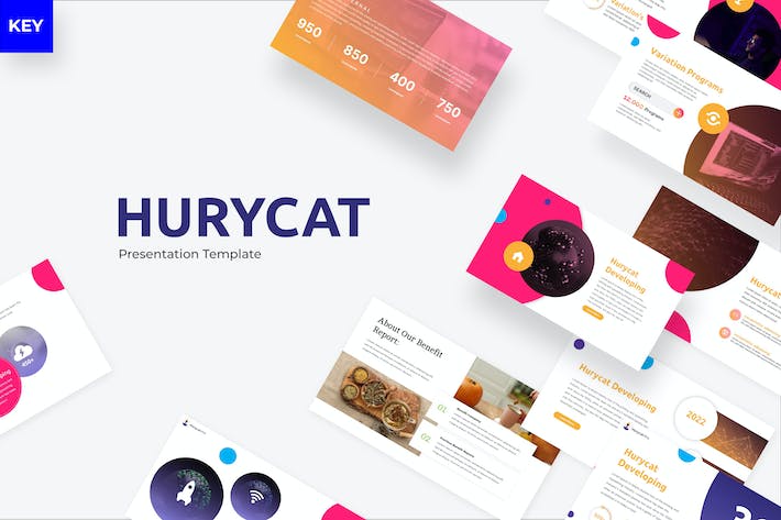 Hurycat-数字-应用程序-主旨-模板- PPT派