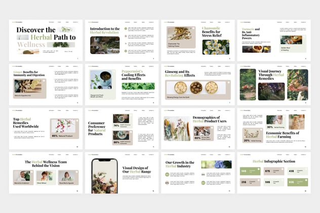 中草药健康养生保健PPT模板 - PPT派