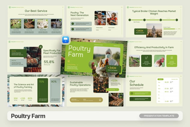 家禽农场项目商业计划书Keynote模板 - PPT派