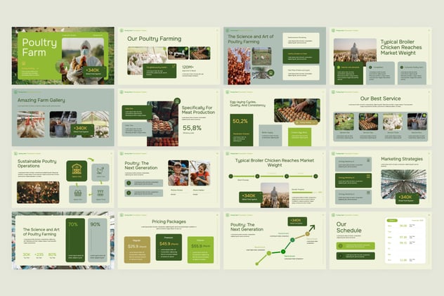 家禽农场项目商业计划书Keynote模板 - PPT派