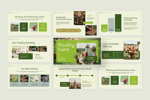 家禽农场项目商业计划书Keynote模板 - PPT派