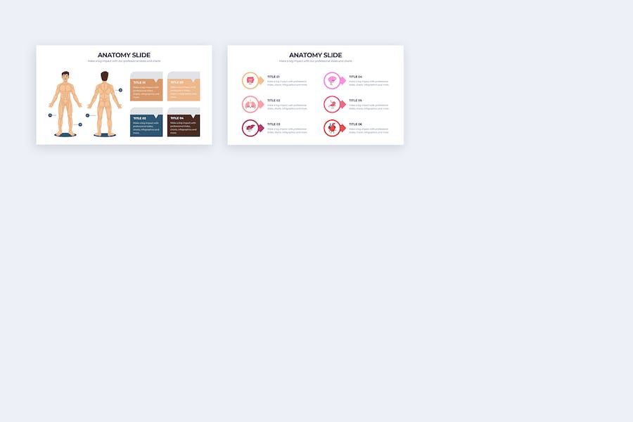 医学人体解剖教学课件信息图PPT模板 - PPT派