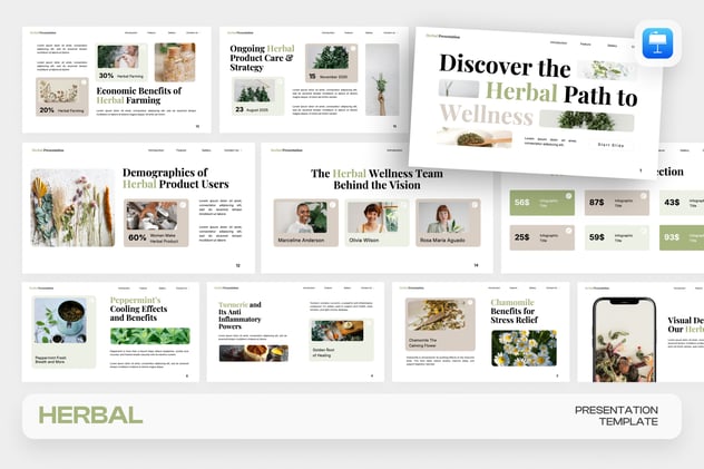 草药中医养生保健推广Keynote模板 - PPT派