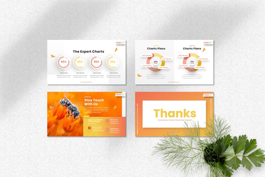 多功能创意设计商业演讲Keynote模板 - PPT派