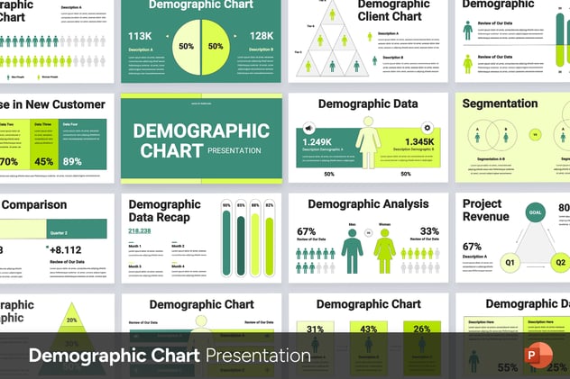 人口统计图表信息展示PPT模板 - PPT派