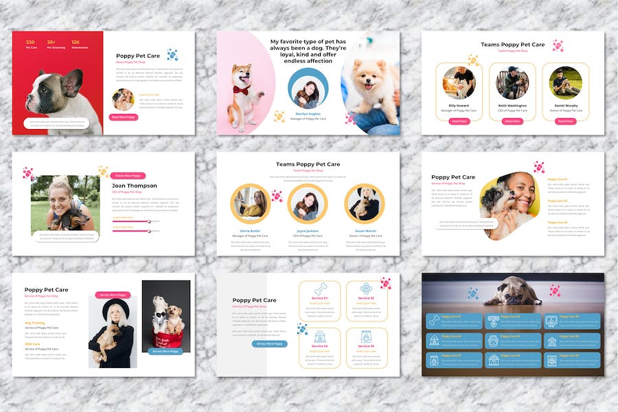 宠物护理服务项目展示方案Keynote模板 - PPT派