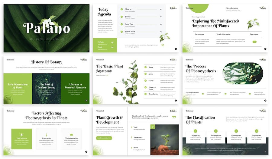 植物学教育课程展示PPT模板 - PPT派