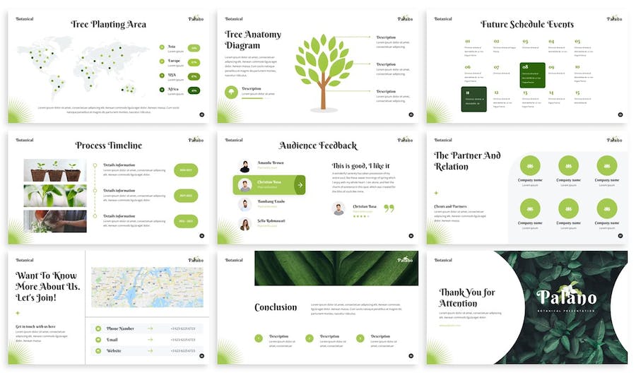 植物学教育课程展示PPT模板 - PPT派