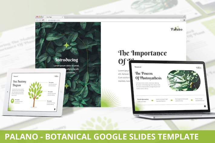 植物学教育培训课程PPT模板 - PPT派
