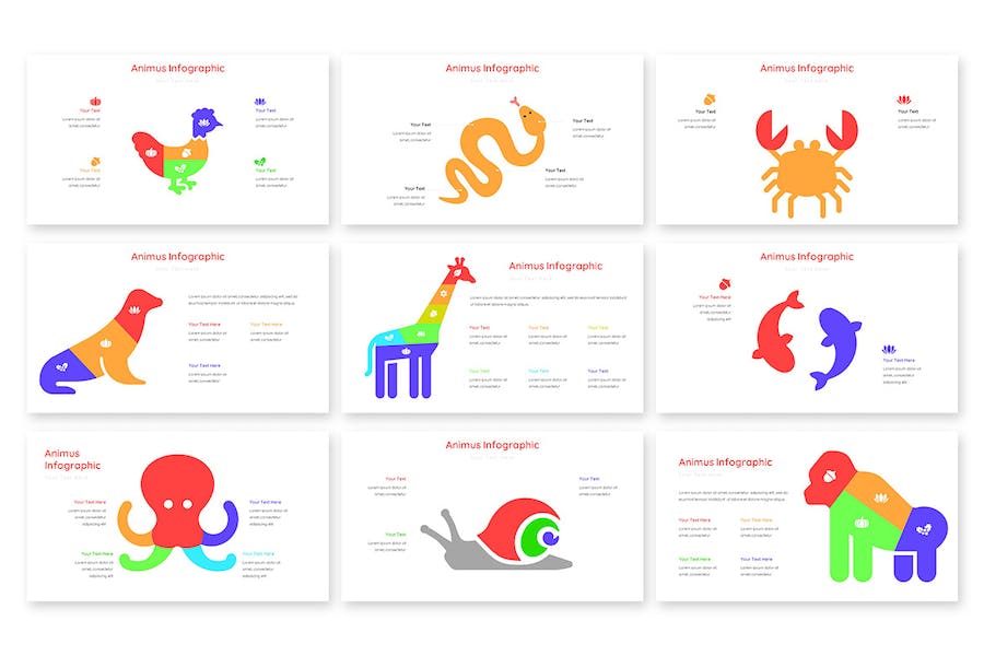 动画信息图形可视化展示Keynote模板 - PPT派