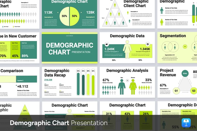 人口统计图表数据分析Keynote模板 - PPT派