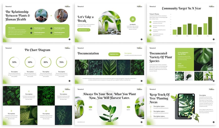 植物学教育培训课程PPT模板 - PPT派