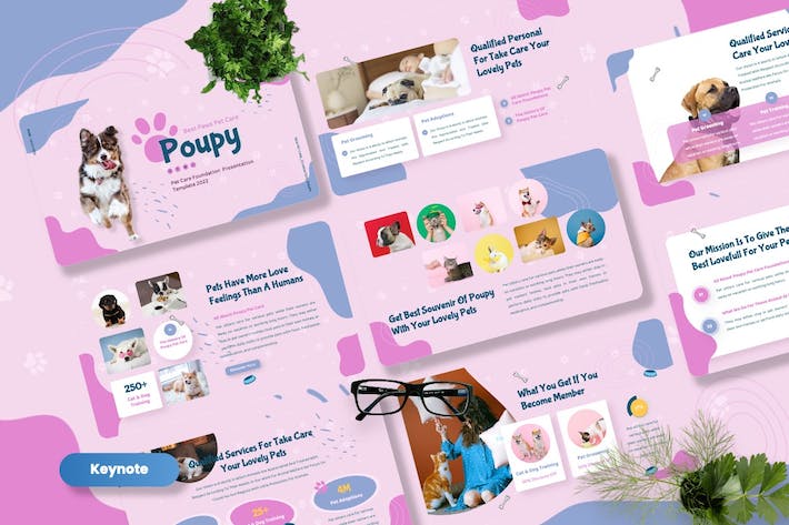 宠物护理服务推广宣传Keynote模板 - PPT派