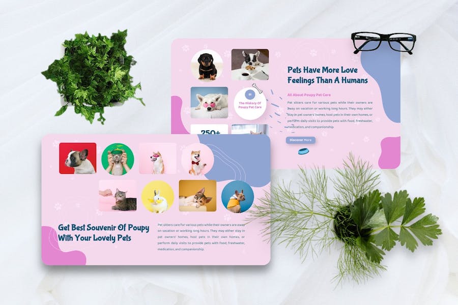 宠物护理服务推广宣传Keynote模板 - PPT派