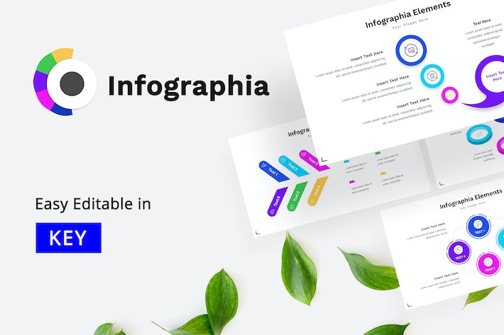 高级感信息图形展示Keynote模板 - PPT派