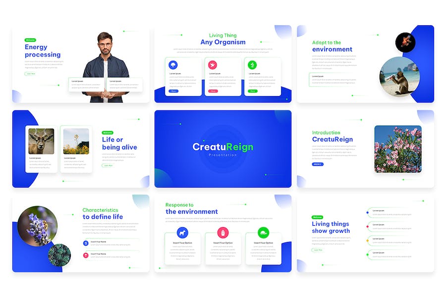 创作论文学术写作研究PPT模板 - PPT派