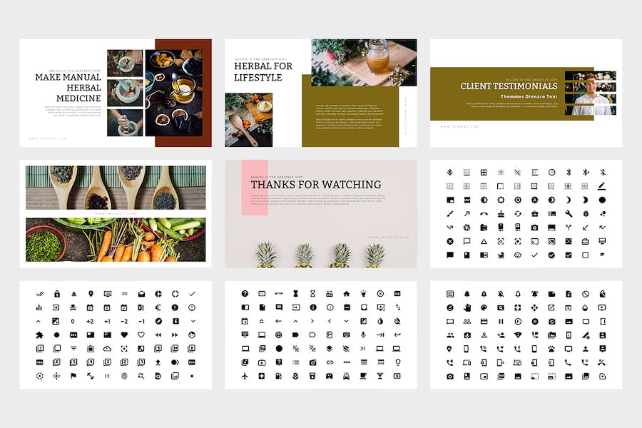 医疗免疫健康保障管理PPT模板 - PPT派