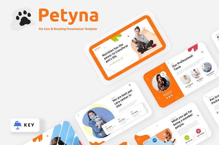 宠物护理繁育数据Keynote模板 - PPT派