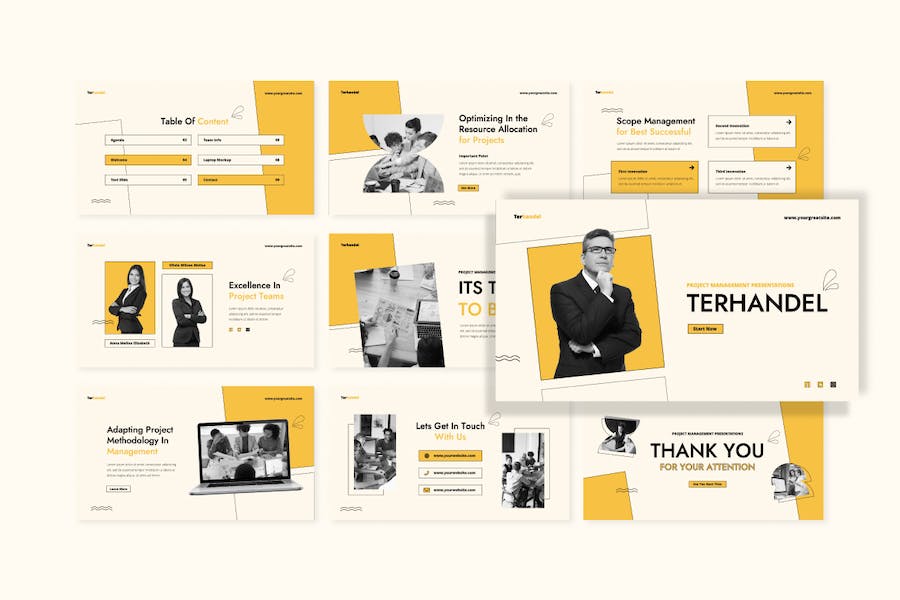 专业项目管理项目提案Keynote模板 - PPT派