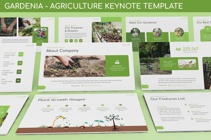 绿色栀子花农业种植Keynote模板 - PPT派