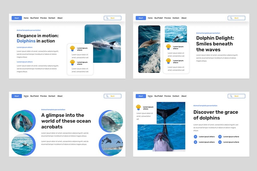 海豚动物展览科普宣传PPT模板 - PPT派