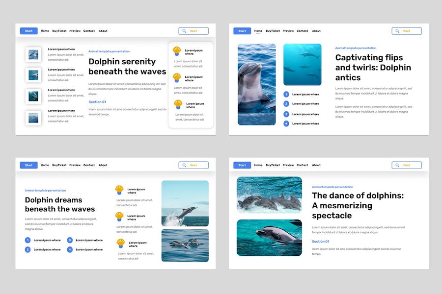 海豚动物展览科普宣传PPT模板 - PPT派