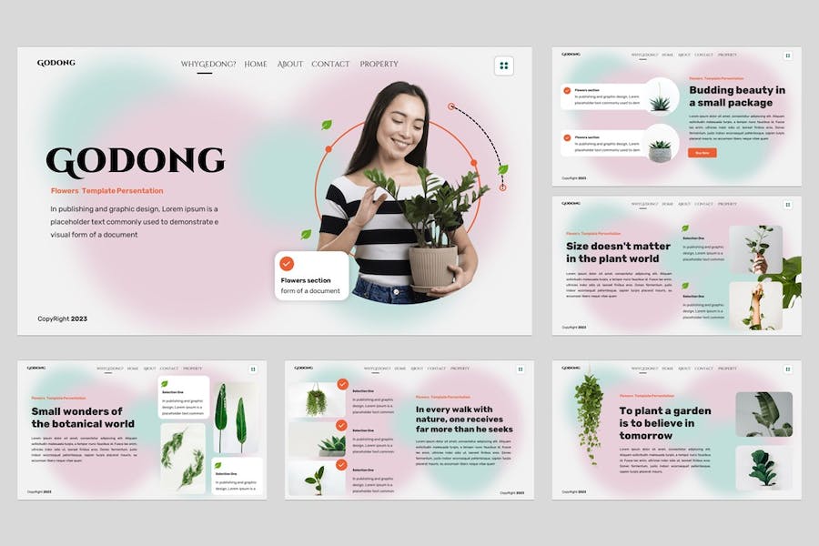 花卉设计展示方案创意应用装饰方案PPT模板 - PPT派