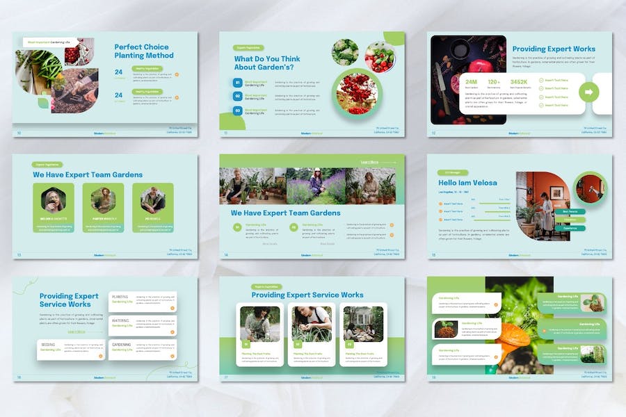 园艺植物品牌推广宣传Keynote模板 - PPT派