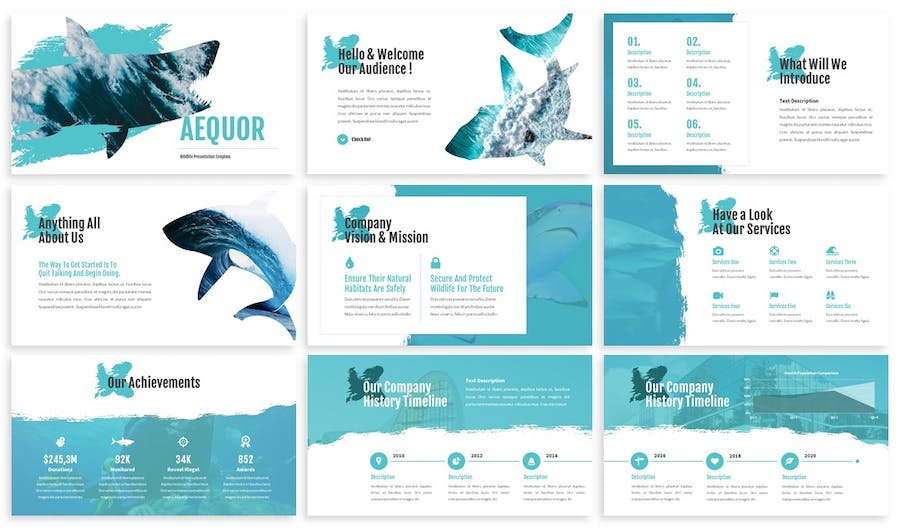 海洋生物科普知识展示教育PPT模板 - PPT派