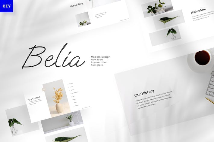 极简主义商务演讲展示Keynote模板 - PPT派