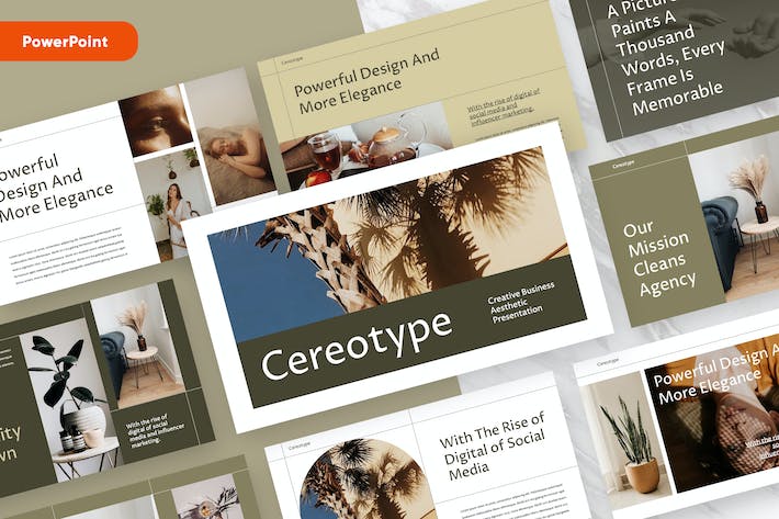 美学商业计划融资方案展示策略推介PPT模板 - PPT派