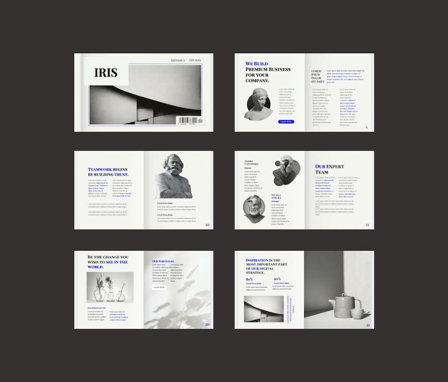 商业机构虹膜主题PPT模板 - PPT派