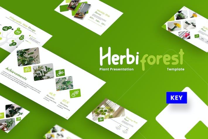 商务演讲融资方案Keynote模板 - PPT派