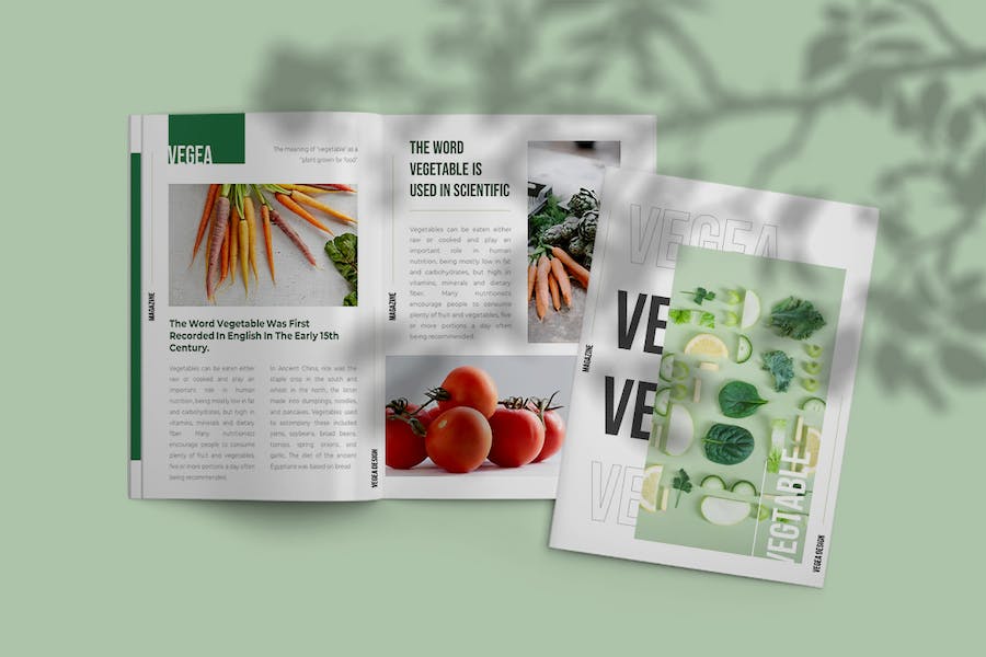 农业蔬菜产品推广品牌宣传Keynote模板 - PPT派