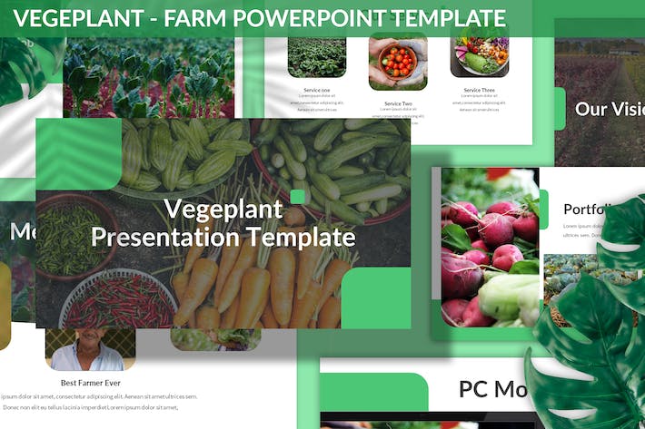 农业种植讲述展示生产管理运营PPT模板 - PPT派