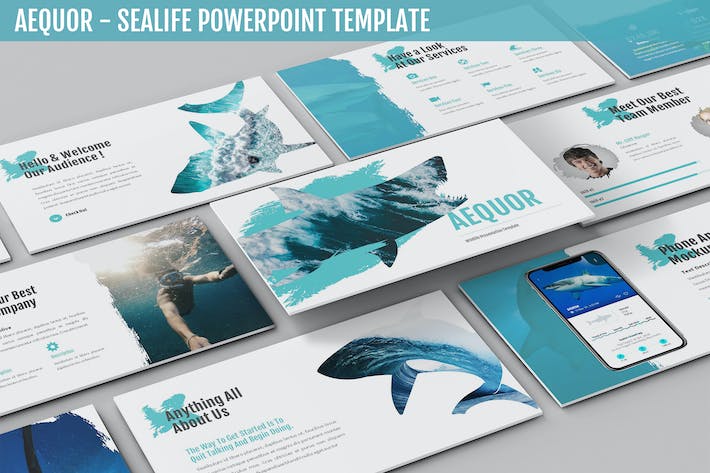 海洋生物科普知识展示教育PPT模板 - PPT派