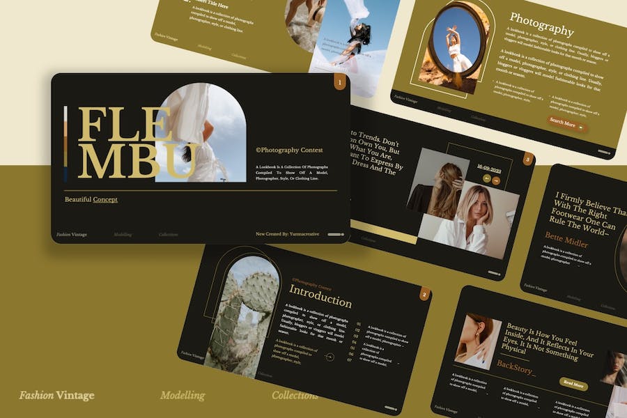 摄影技术讲述展示方案应用推介PPT模板 - PPT派