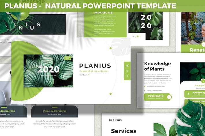 自然生态讲述展示规划设计应用PPT模板 - PPT派