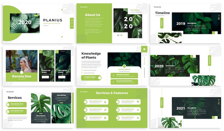 自然生态讲述展示规划设计应用PPT模板 - PPT派