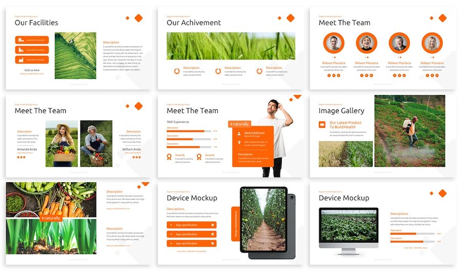 天然有机农业食品品牌推介产品营销展示Keynote模板 - PPT派