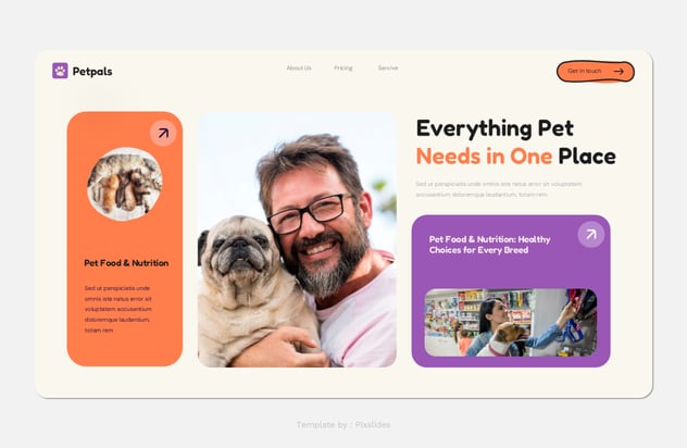宠物店护理服务商业计划书Keynote模板 - PPT派