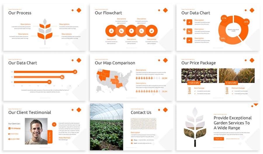 天然有机农业食品品牌推介产品营销展示Keynote模板 - PPT派