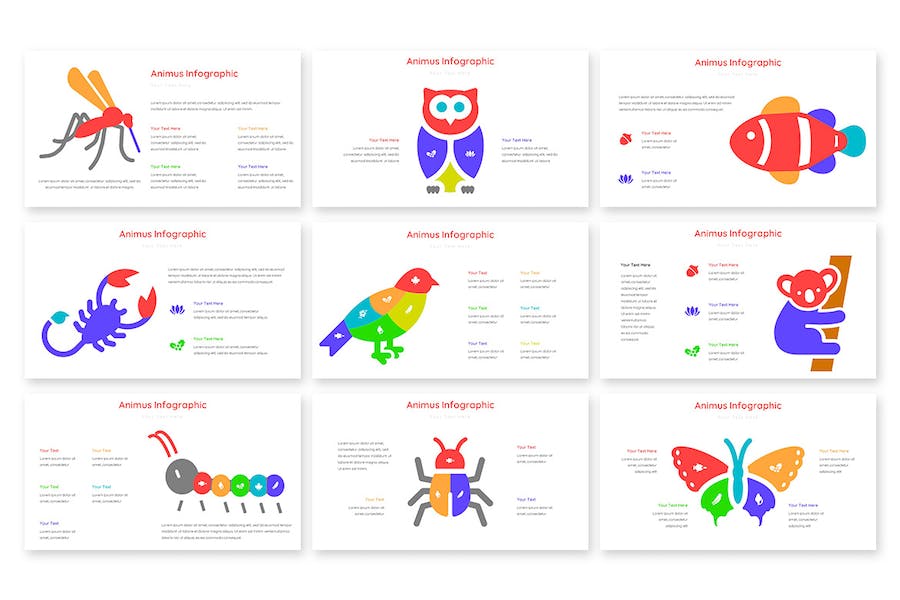 动画演示信息图形展示PPT模板 - PPT派