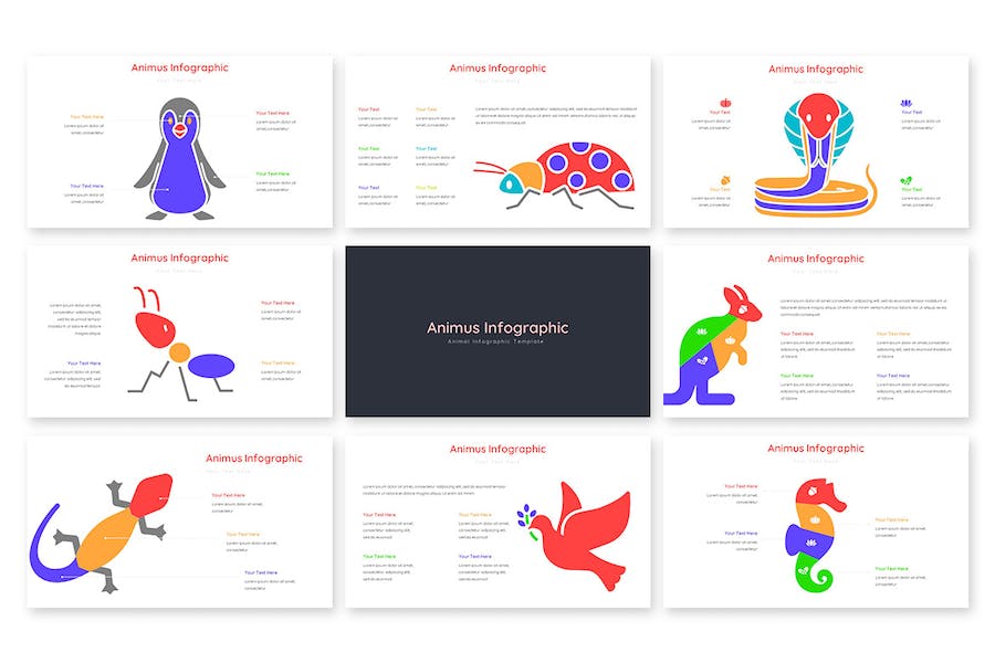 动画演示信息图形展示PPT模板 - PPT派