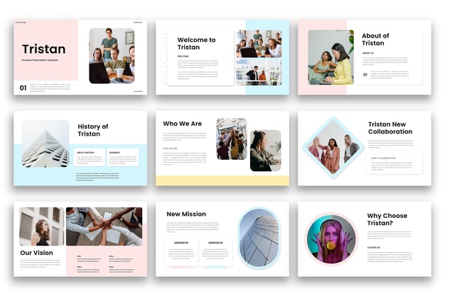 商务项目方案工作总结PPT模板 - PPT派