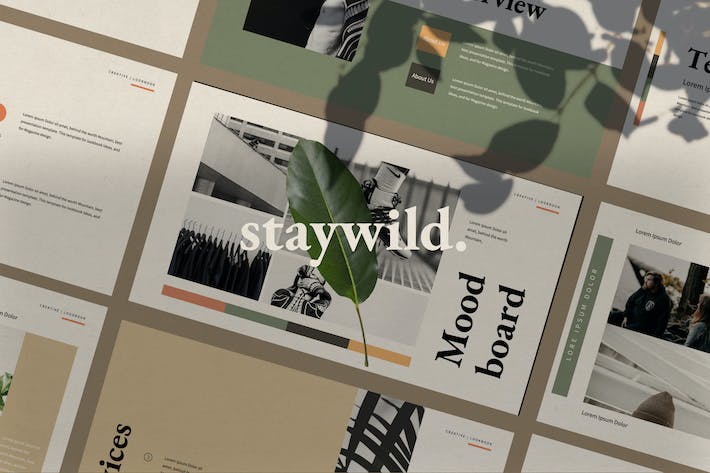 StayWild-创意-极简-PPT - PPT派