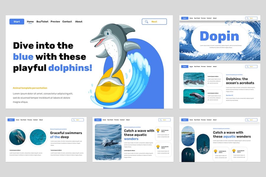 海洋动物科普知识讲述展示教育宣传Keynote模板 - PPT派